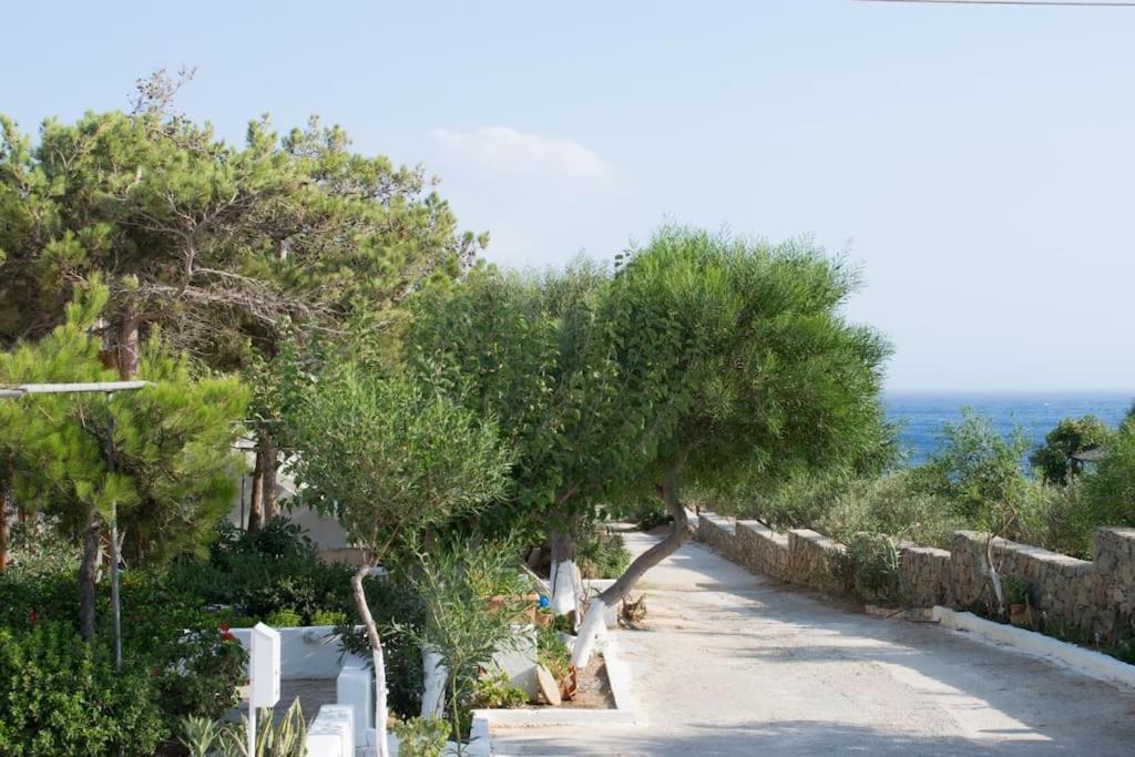 Lazaros & Pagona Houses 2 Ιεράπετρα Εξωτερικό φωτογραφία